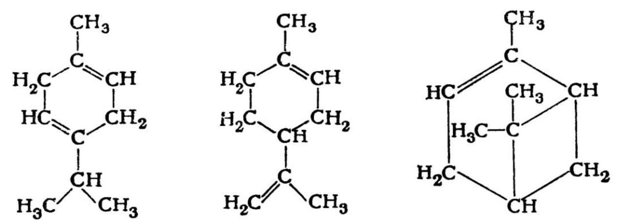 Zenidol Creme Terpen Formel